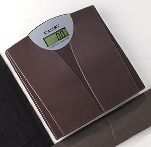 Electronic Bathroom Scale